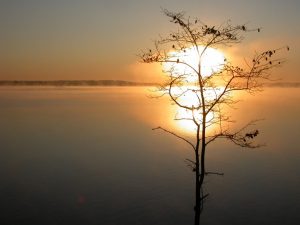 Read more about the article How to Find Peace—and Become Truly Beautiful