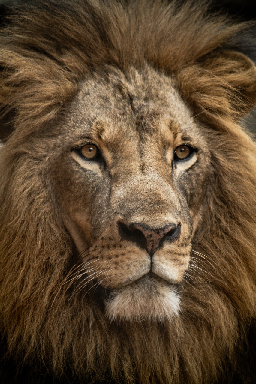 Read more about the article When You Need to Remember that Christ is King